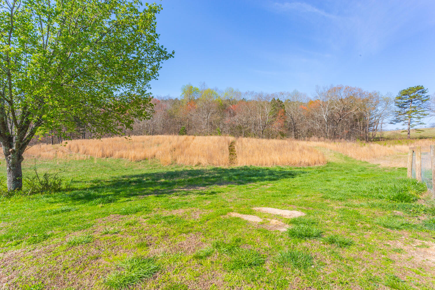 1144 Ridgeway Road LaFayette, GA 30728 - Photo 40 of 46 Acreage