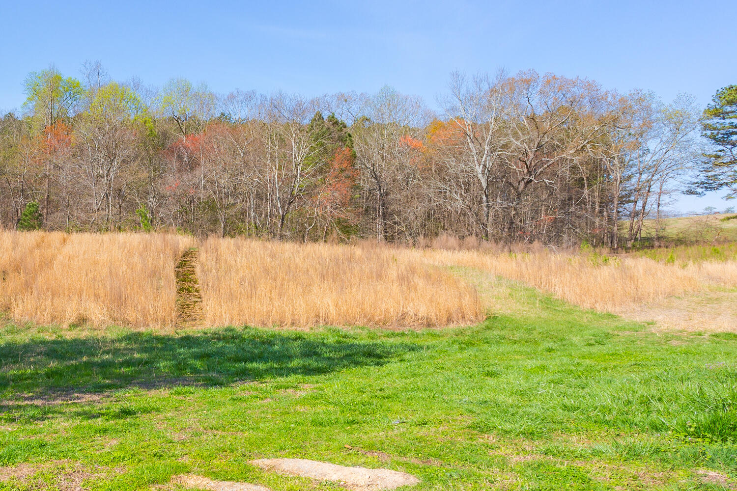 1144 Ridgeway Road LaFayette, GA 30728 - Photo 41 of 46 144 Ridgeway Road HD-8