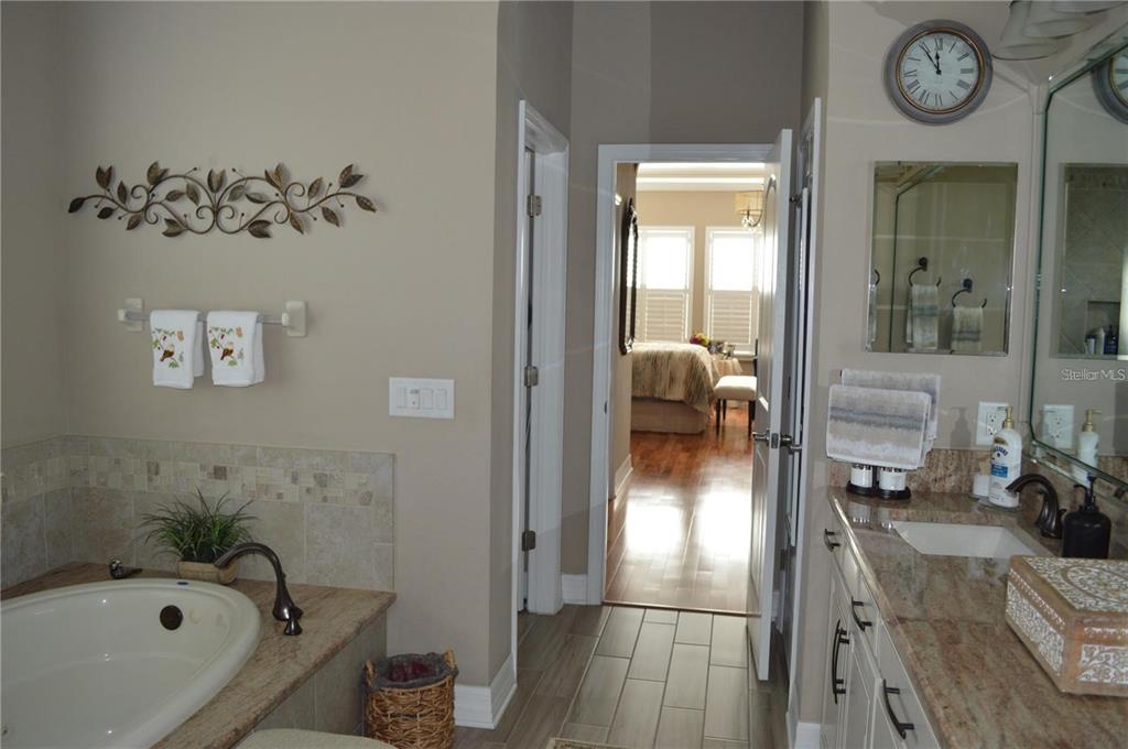 32026 Wenlock Loop Wesley Chapel, FL 33543 - Photo 37 of 52 a en suite bathroom with a tub and a large mirror
