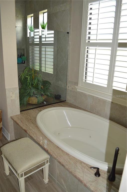 32026 Wenlock Loop Wesley Chapel, FL 33543 - Photo 43 of 52 a bathroom with a tub and sink