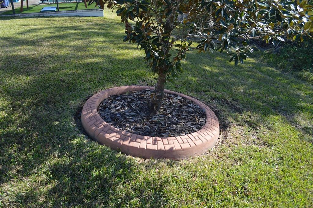 32026 Wenlock Loop Wesley Chapel, FL 33543 - Photo 52 of 52 a view of a garden