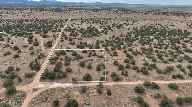a view of a dry yard