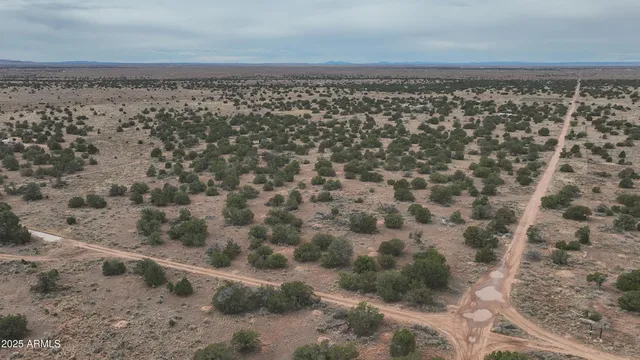 a view of lot of trees