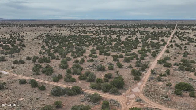 a view of a yard with wooden floor