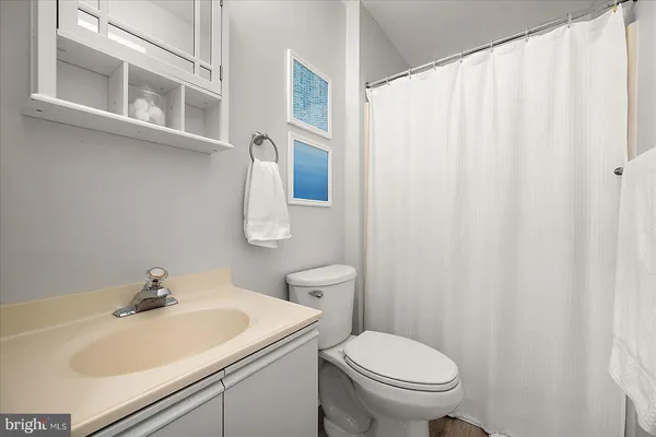 a bathroom with a sink and a toilet
