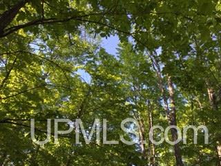 Tbd Tbd Maggie Pt Road, Unit 4E Crystal Falls, MI 49920 - Photo 4 of 7