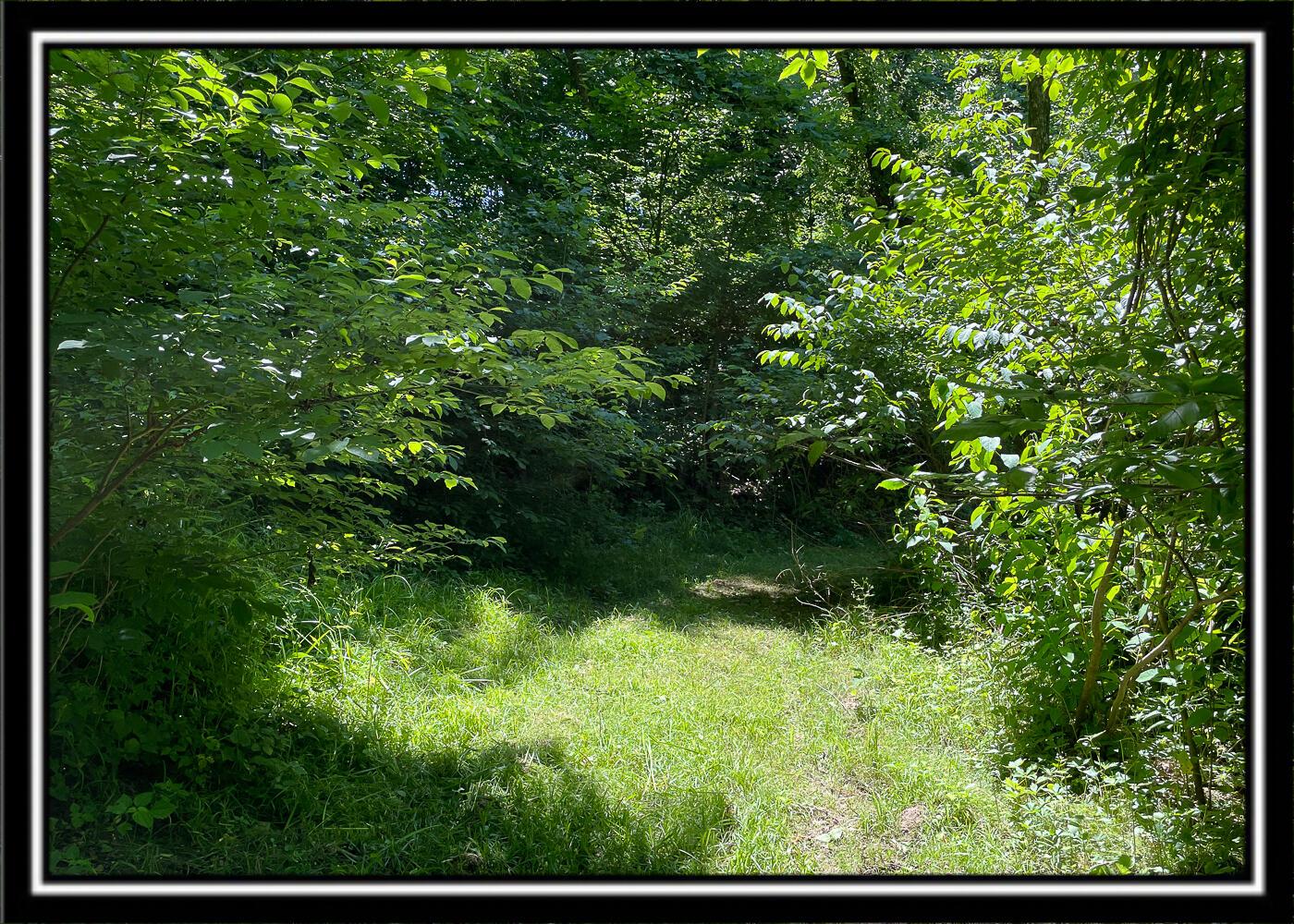 0 Hoop Pole Road, Unit TRACT 13 Roseville, OH 43777 - Photo 35 of 62 CT-16