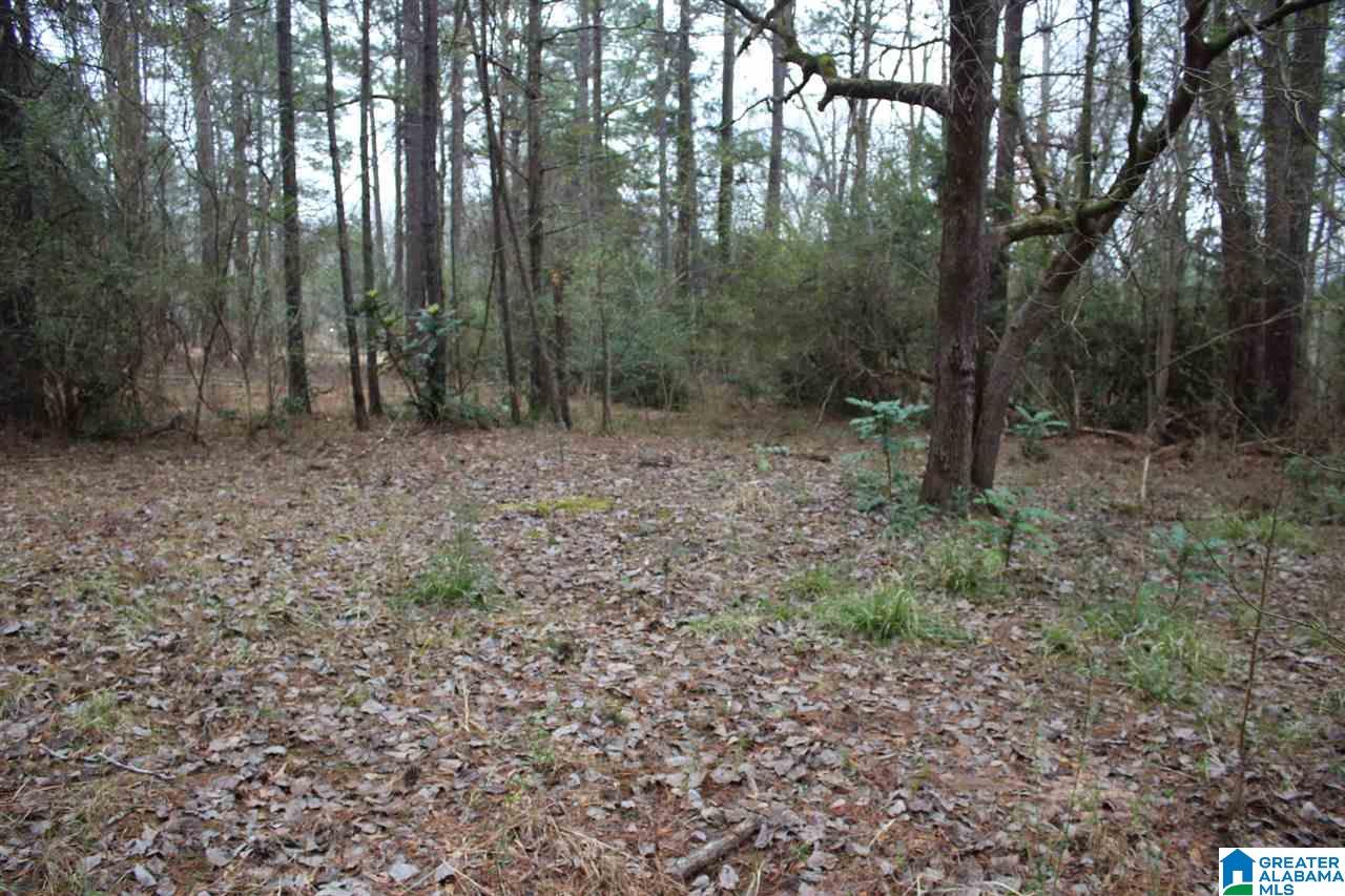 5151 South Shades Crest Road, Unit 1 Helena, AL 35022 - Photo 3 of 6