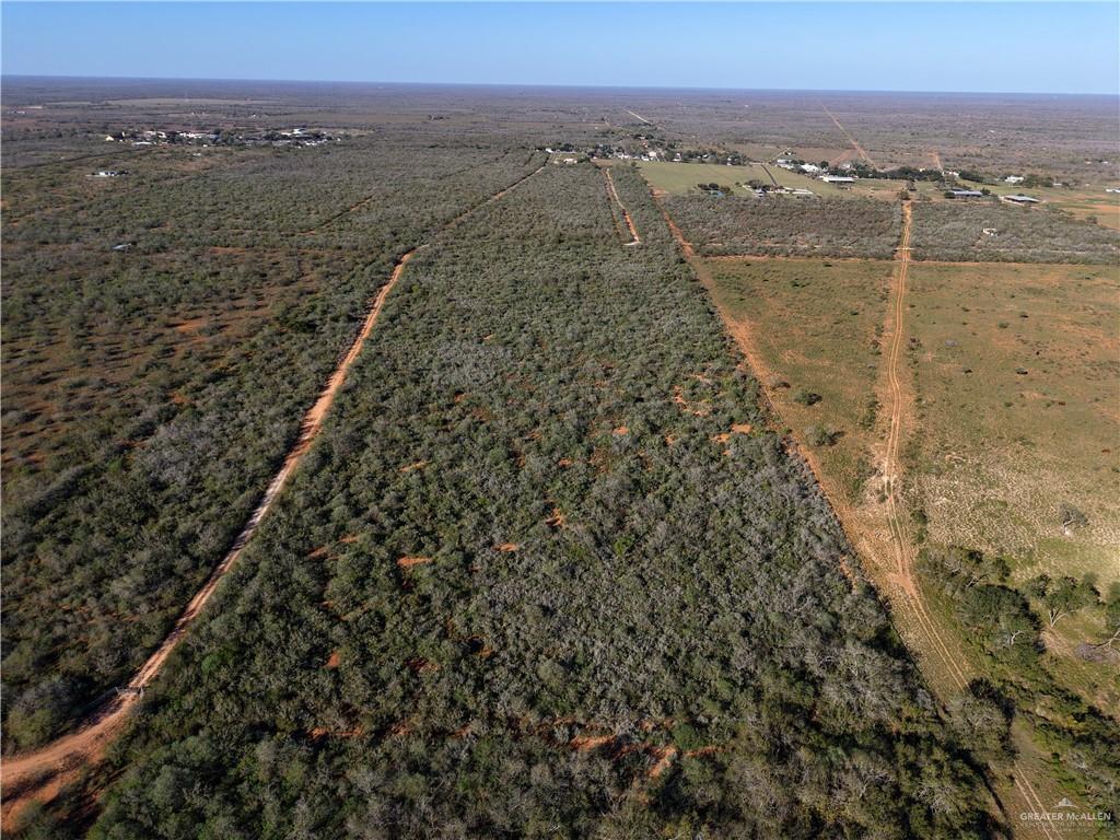 5212 Fm 1017 Delmita, TX 78536 - Photo 6 of 17