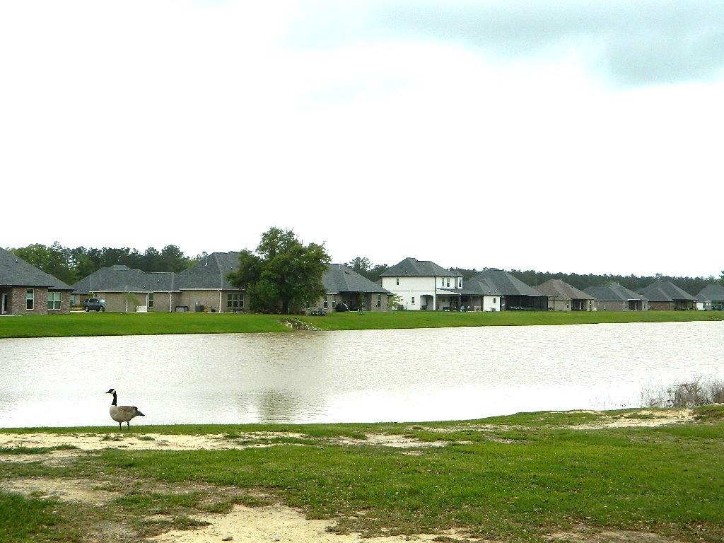 335 Saw Grass Loop Covington, LA 70435 - Photo 32 of 32 Gallery Image 32