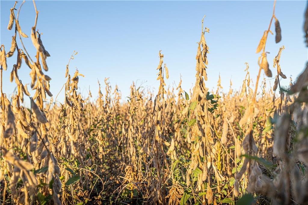 0 Virginia Road Kincaid, KS 66039 - Photo 12 of 13