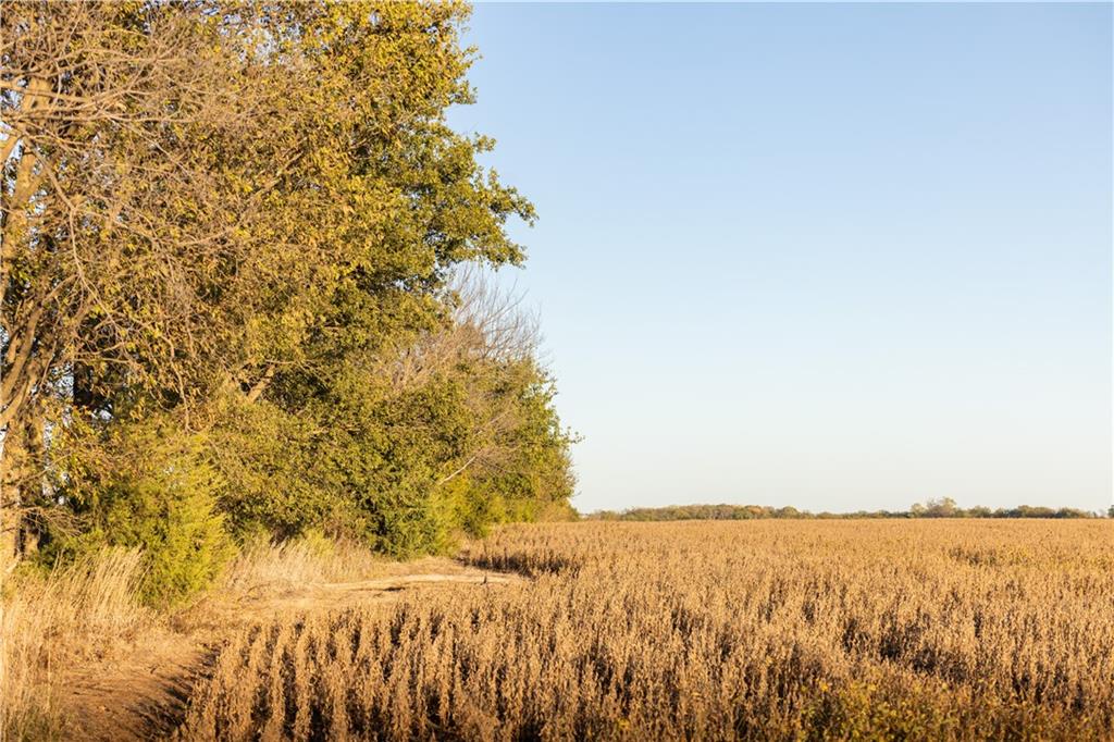 0 Virginia Road Kincaid, KS 66039 - Photo 10 of 13