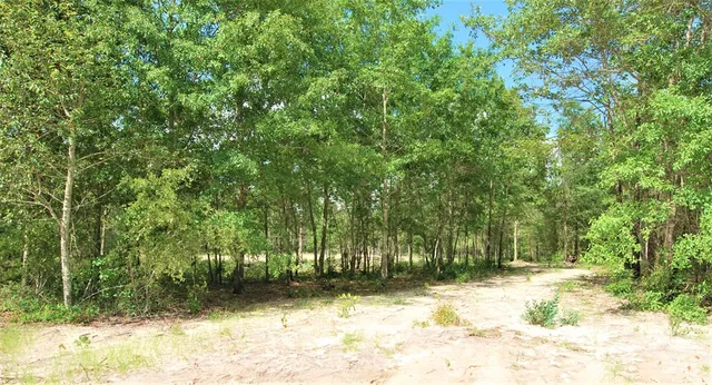 $40,000 | 6 Sable Lane, Trenton, SC 29847