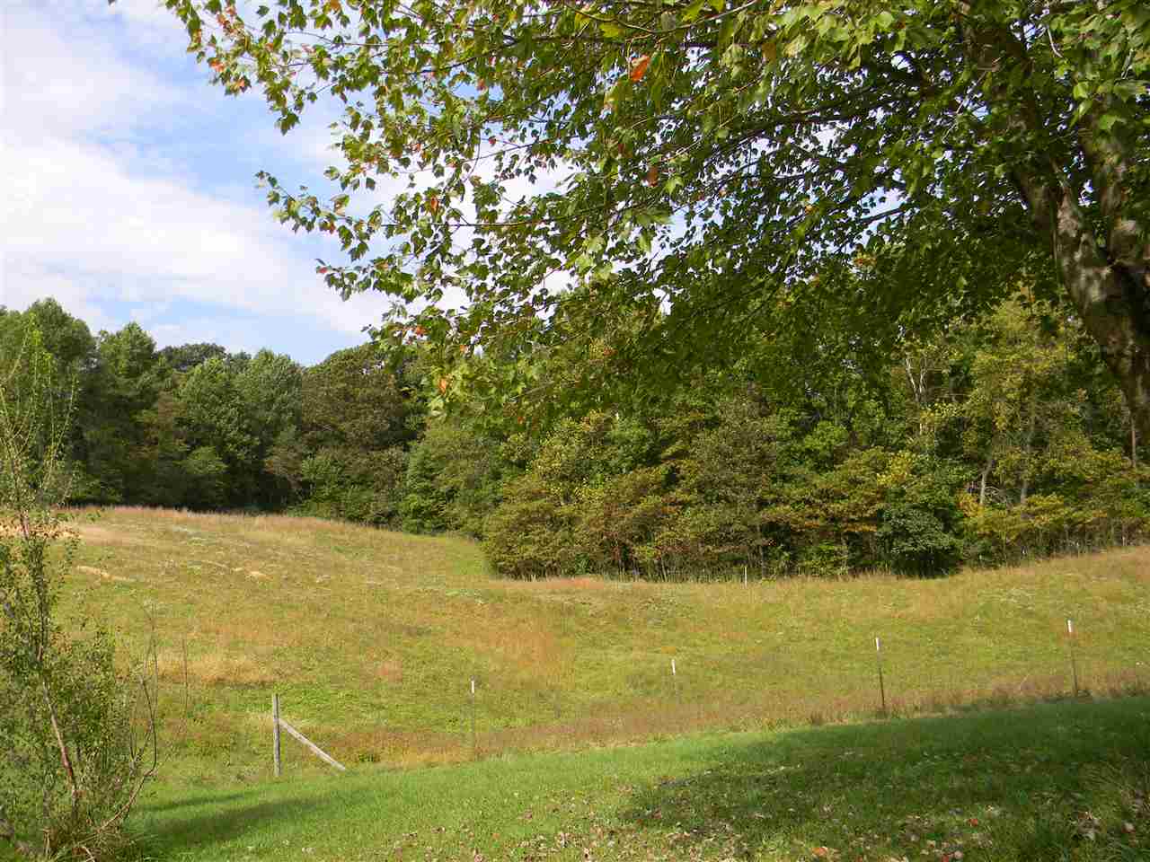 747 Pea Ridge Road Spencer, IN 47460 - Photo 4 of 6