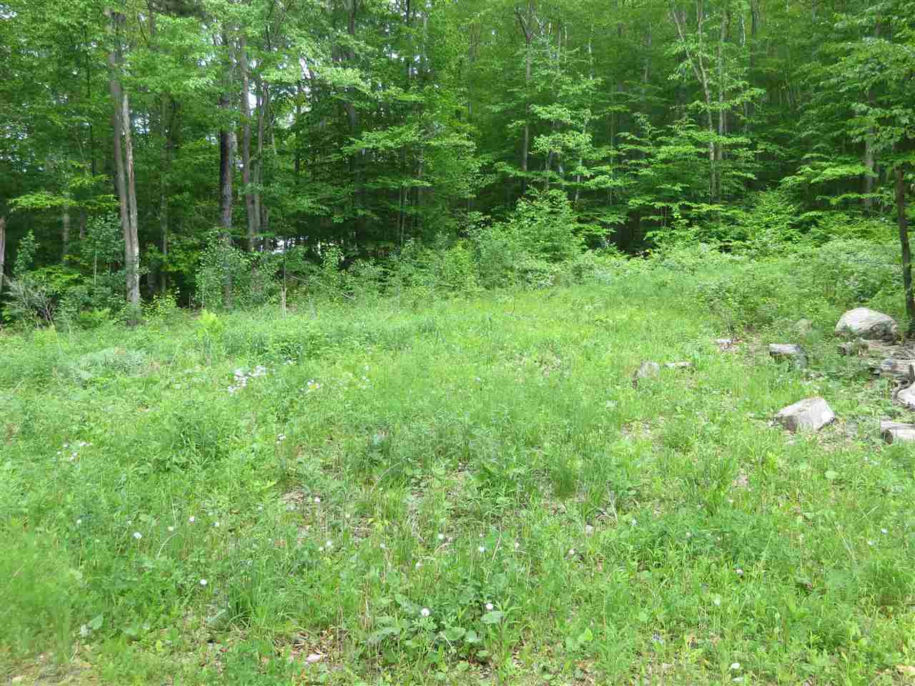 1213 Gore Road, Unit 2 Bennington, VT 05201 - Photo 3 of 9