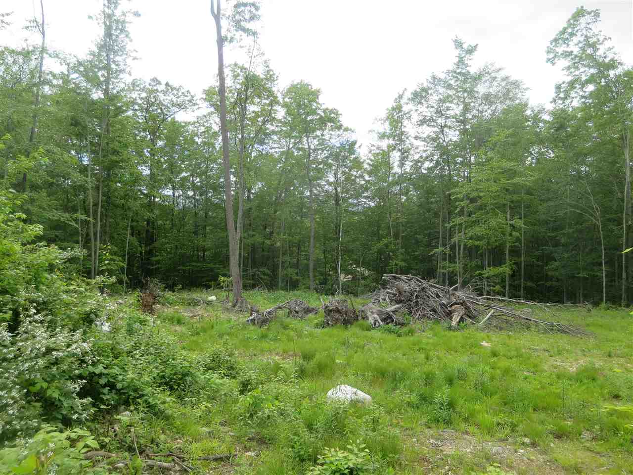 1213 Gore Road, Unit 2 Bennington, VT 05201 - Photo 4 of 9