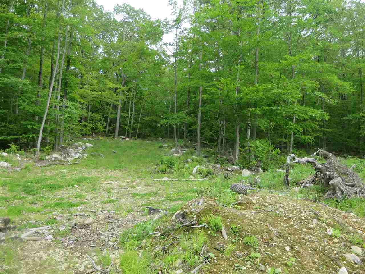 1213 Gore Road, Unit 2 Bennington, VT 05201 - Photo 6 of 9