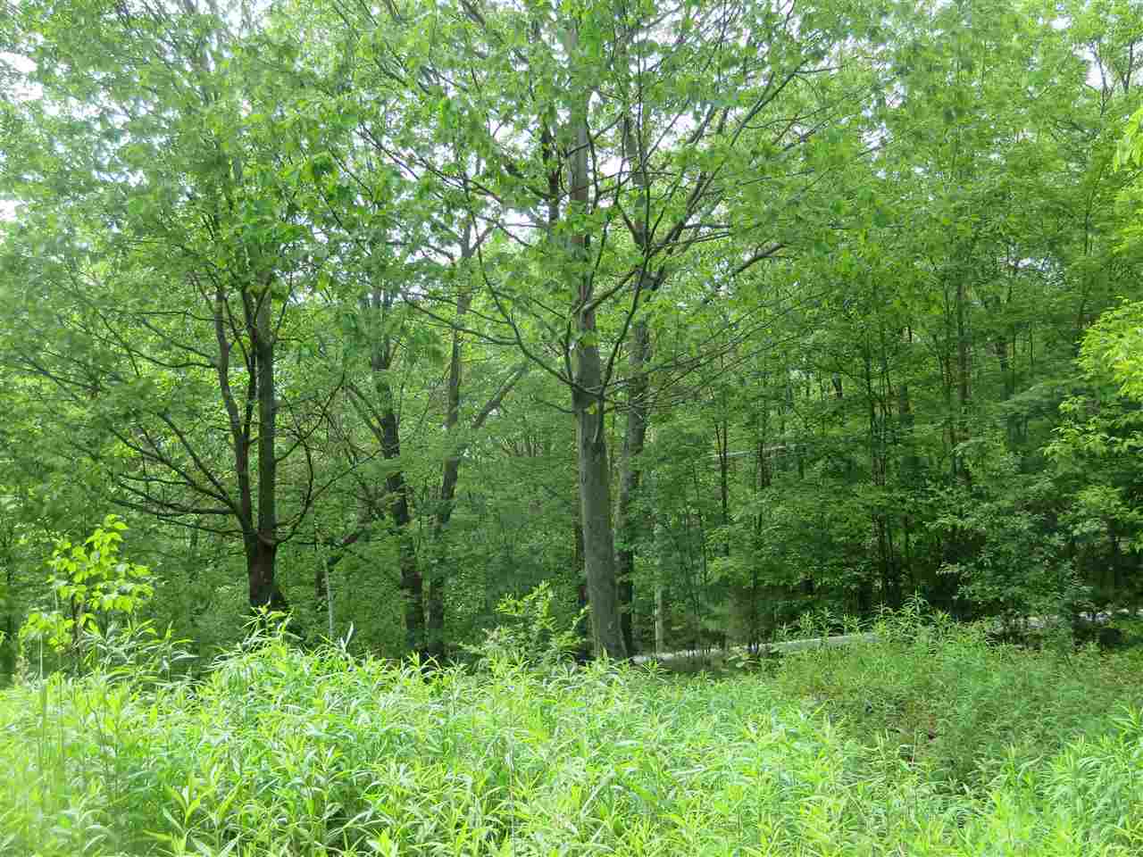 1213 Gore Road, Unit 2 Bennington, VT 05201 - Photo 7 of 9