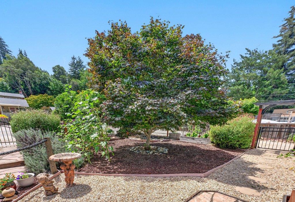 6476 Cooper Street Felton, CA 95018 - Photo 51 of 72