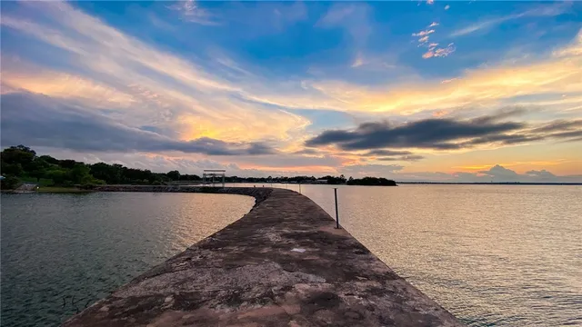 a view of a park with plants and large trees