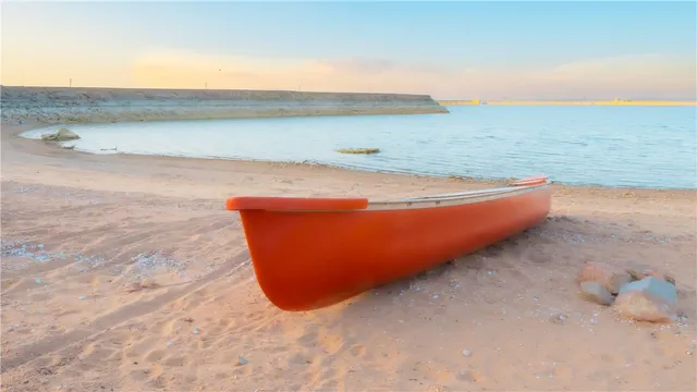 a view of garden with trees