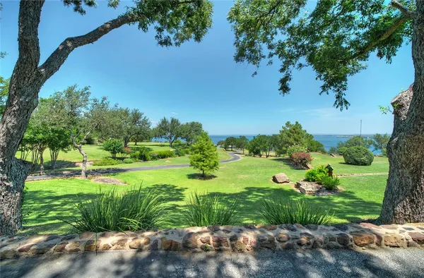 a view of a park with plants and large trees