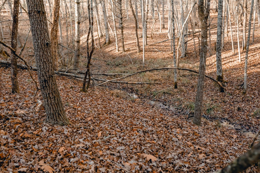 Lot 63 Ridges Of Blue Ridge Blue Ridge, GA 30513 - Photo 5 of 8 Gallery Image 5