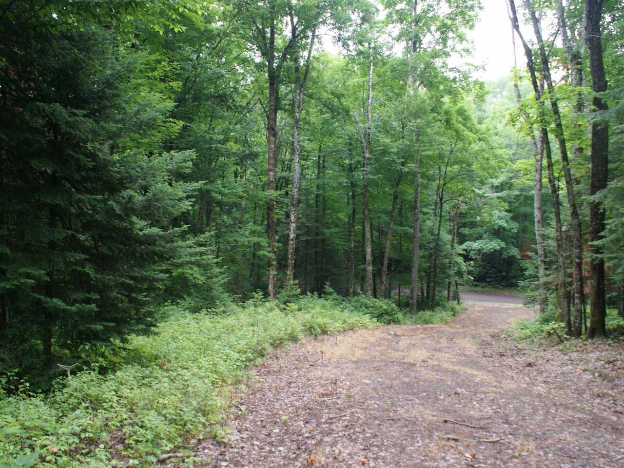 On Moonshine Valley Road, Unit LOT 1 Presque Isle, WI 54557 - Photo 3 of 9 Gallery Image 3