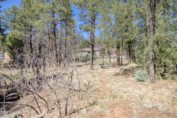 $67,000 | 1036 West Apache Lane, Unit 118, Lakeside, AZ 85929