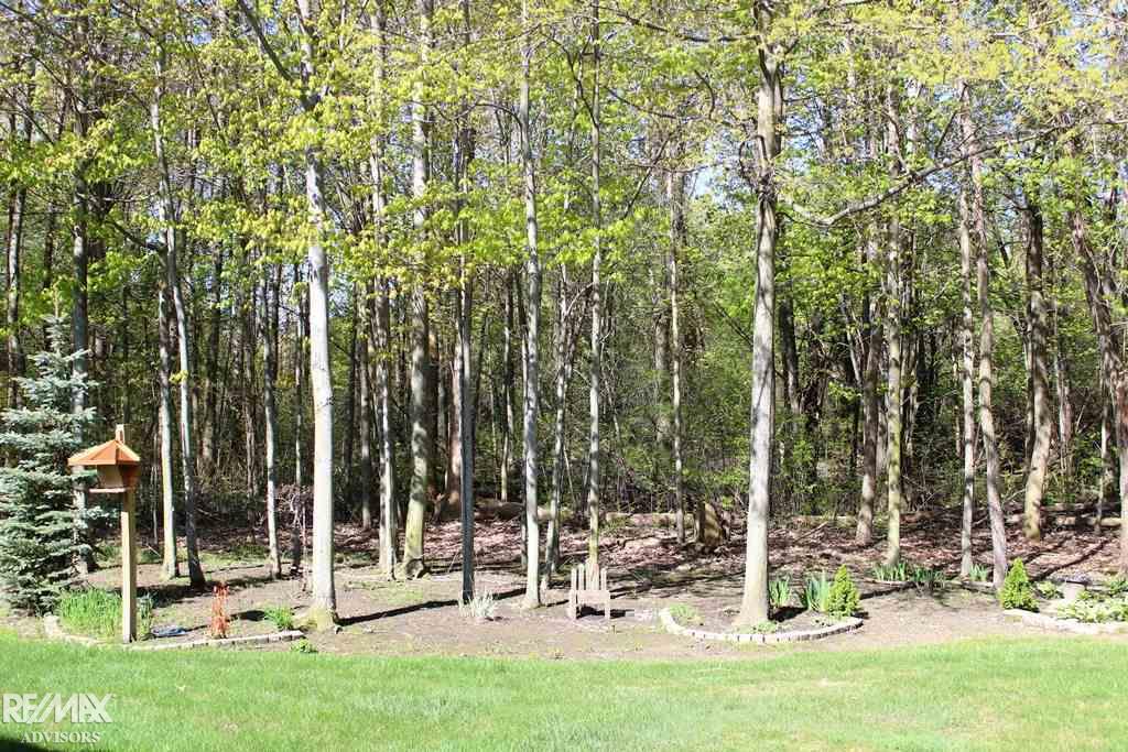 9650 Nook Road Algonac, MI 48001 - Photo 17 of 17 31319350-16.JPG