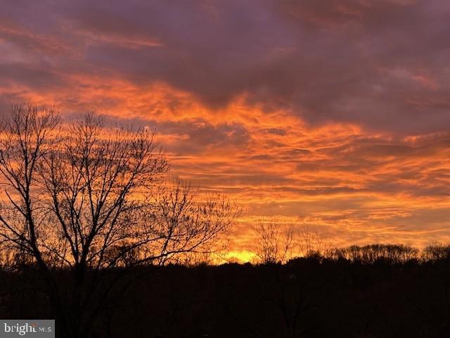 711 Brookhaven Road Wallingford, PA 19086 - Photo 3 of 4