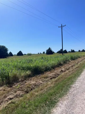 a view of a field with a tree in the background