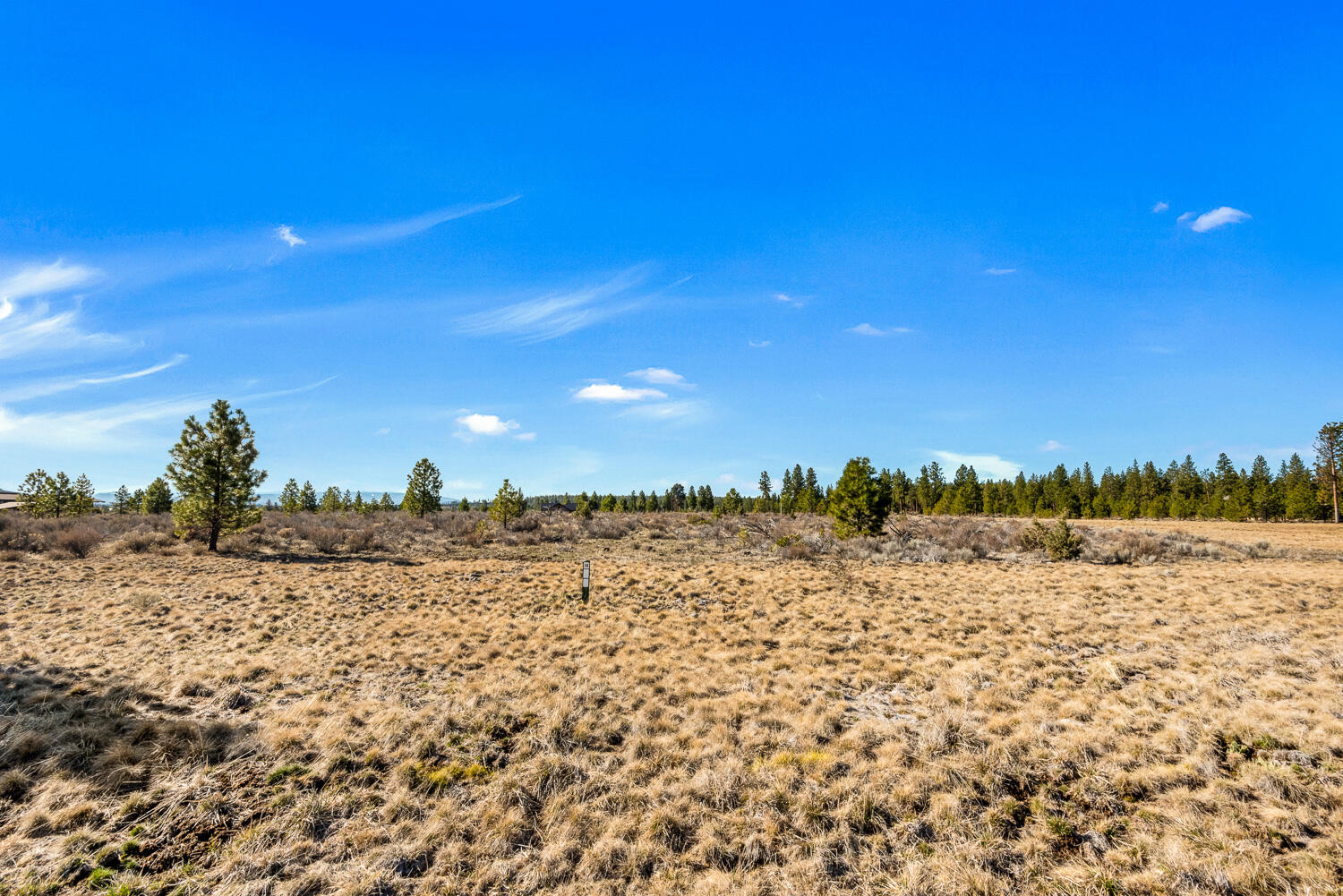 18945 Macalpine Loop Bend, OR 97702 - Photo 11 of 25 OReilly_20240402_2_295856_72ppi