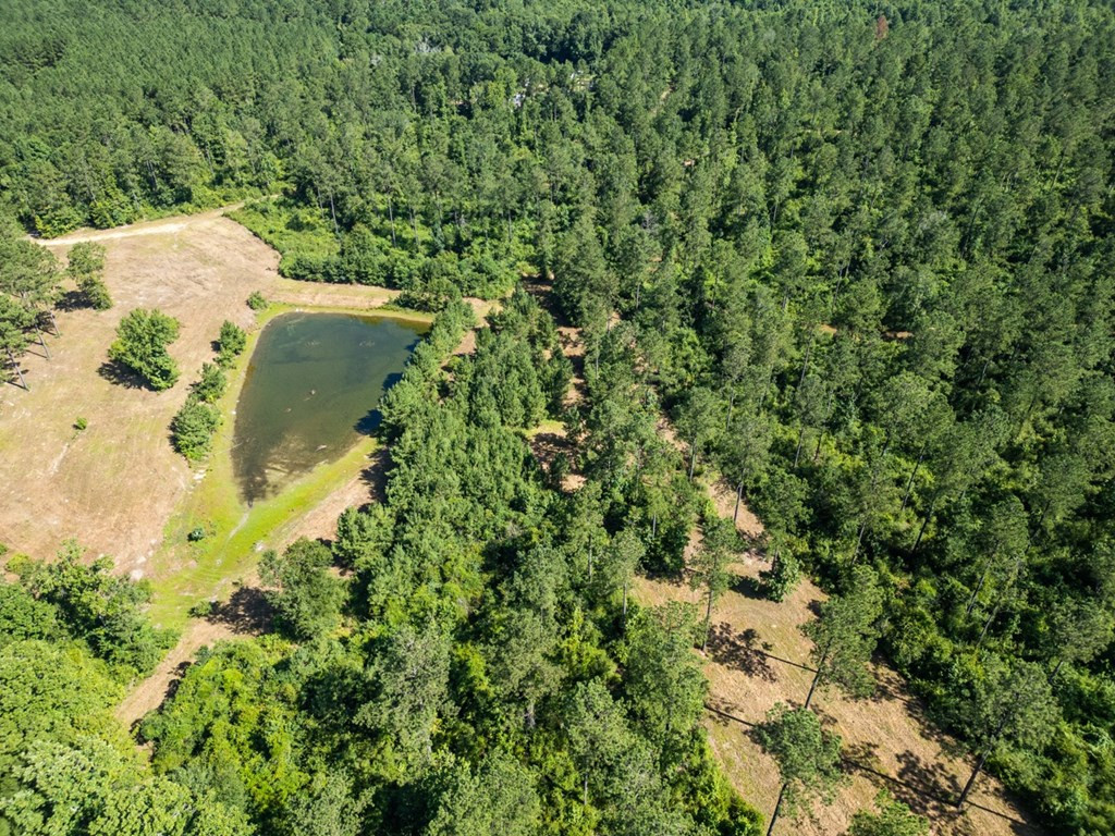 1254 Kelly Church Road Magnolia, MS 39652 - Photo 14 of 38 Photo 14