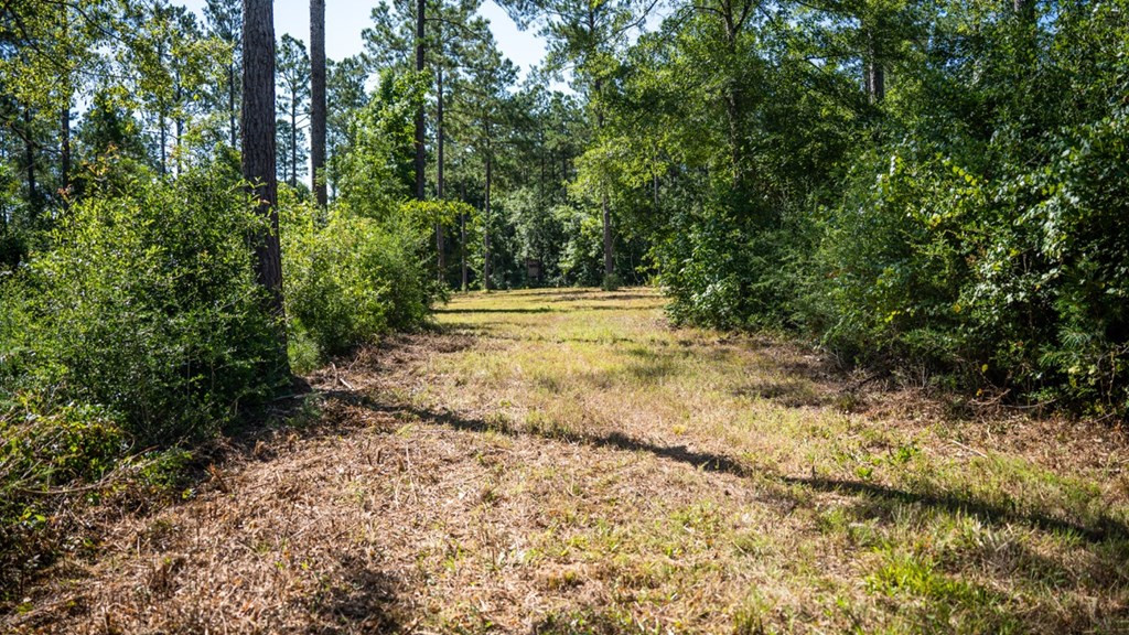 1254 Kelly Church Road Magnolia, MS 39652 - Photo 21 of 38 Photo 21