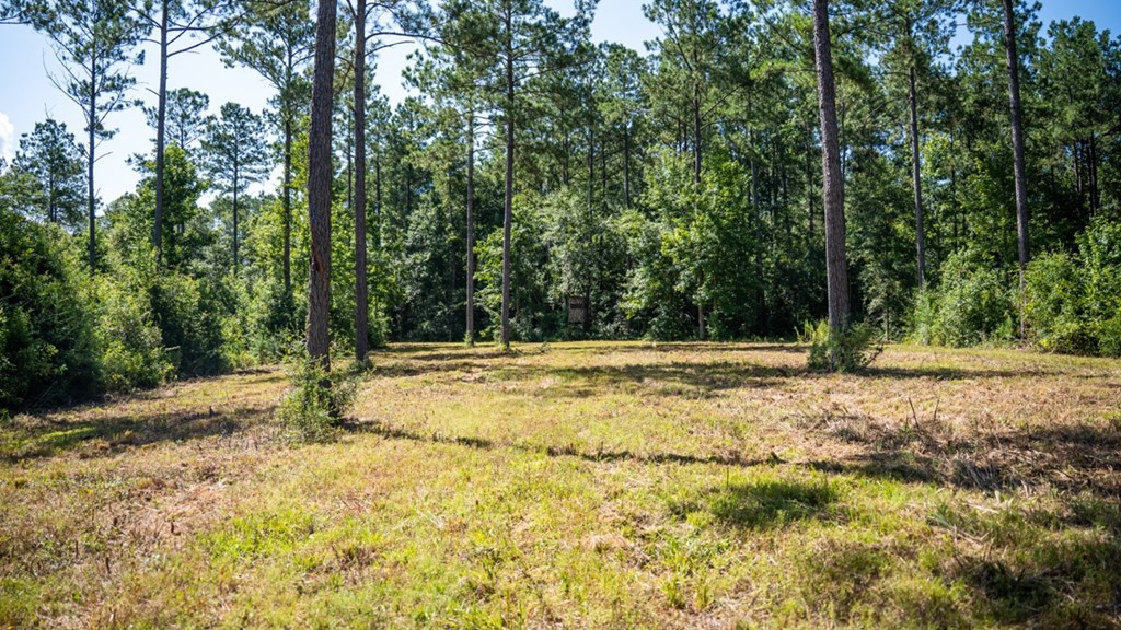 1254 Kelly Church Road Magnolia, MS 39652 - Photo 23 of 38 Photo 23