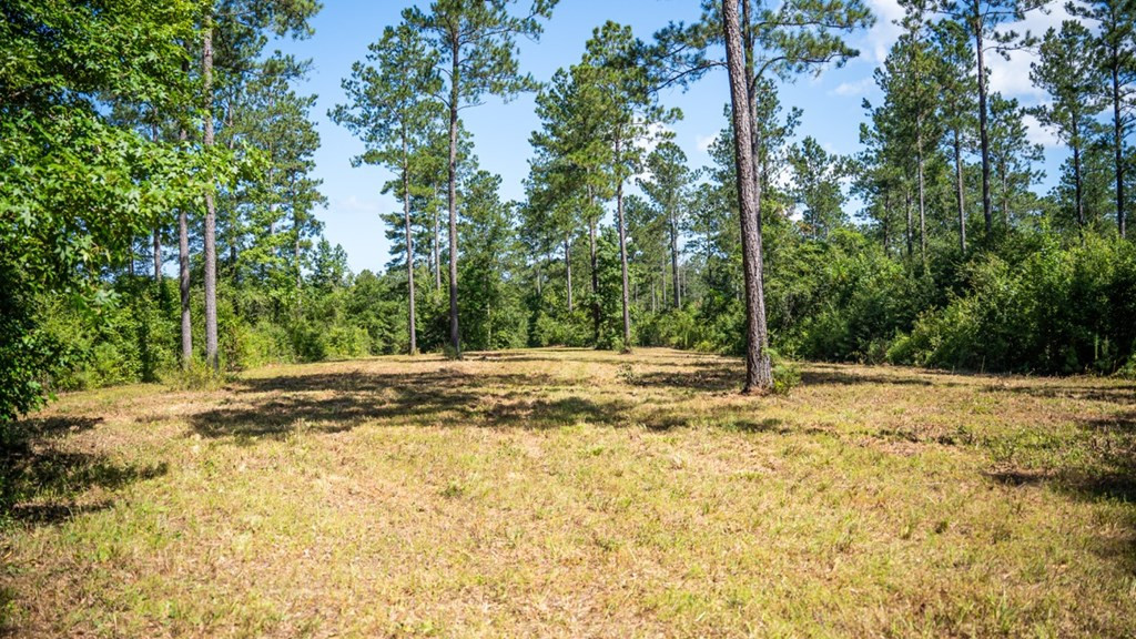 1254 Kelly Church Road Magnolia, MS 39652 - Photo 26 of 38 Photo 26
