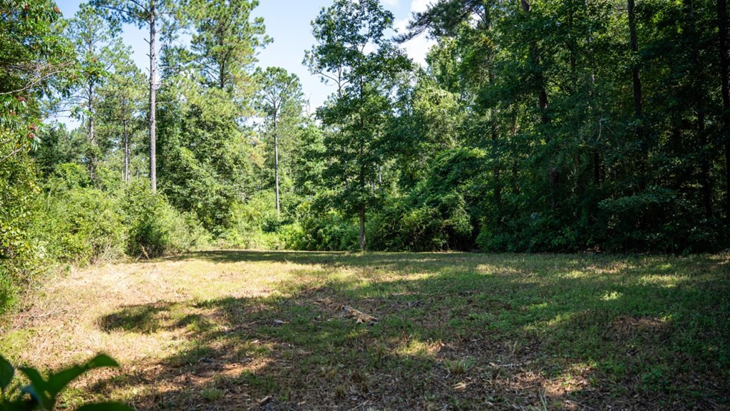 1254 Kelly Church Road Magnolia, MS 39652 - Photo 27 of 38 Photo 27