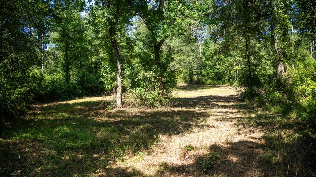 1254 Kelly Church Road Magnolia, MS 39652 - Photo 28 of 38 Photo 28