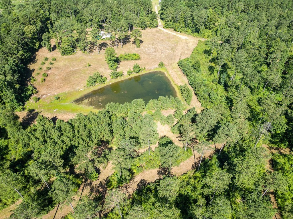 1254 Kelly Church Road Magnolia, MS 39652 - Photo 3 of 38 Photo 3