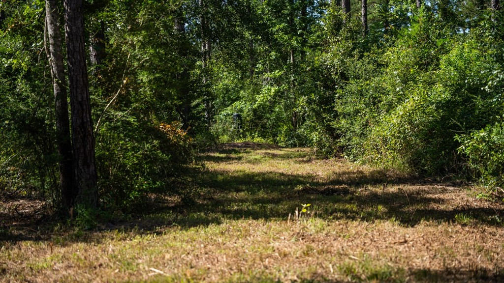 1254 Kelly Church Road Magnolia, MS 39652 - Photo 32 of 38 Photo 32