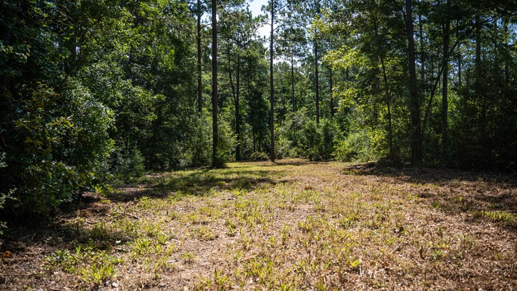 1254 Kelly Church Road Magnolia, MS 39652 - Photo 33 of 38 Photo 33