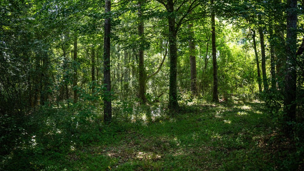 1254 Kelly Church Road Magnolia, MS 39652 - Photo 34 of 38 Photo 34