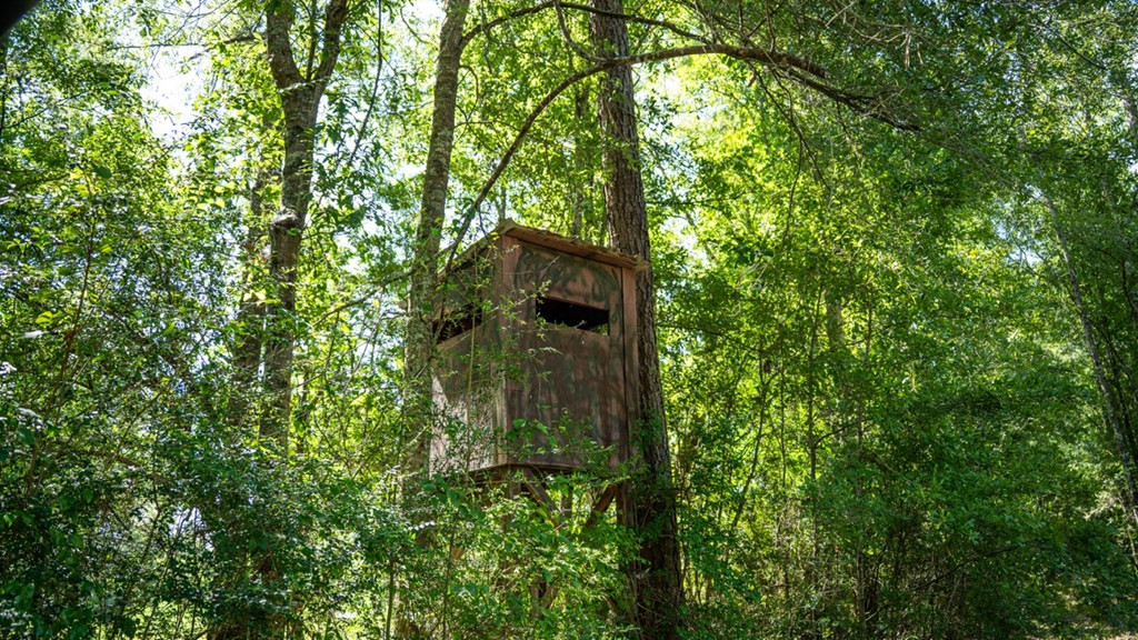 1254 Kelly Church Road Magnolia, MS 39652 - Photo 36 of 38 Photo 36