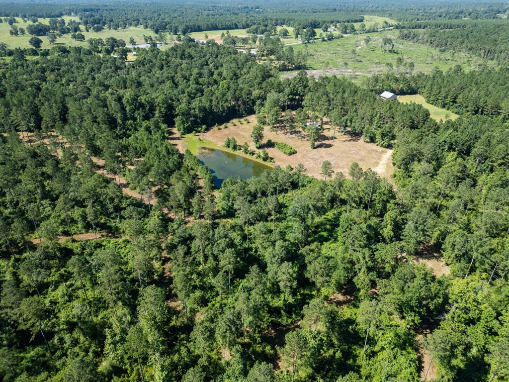 1254 Kelly Church Road Magnolia, MS 39652 - Photo 7 of 38 Photo 7