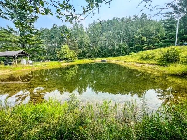 5495 West Clarence Road Harrison, MI 48625 - Photo 2 of 44