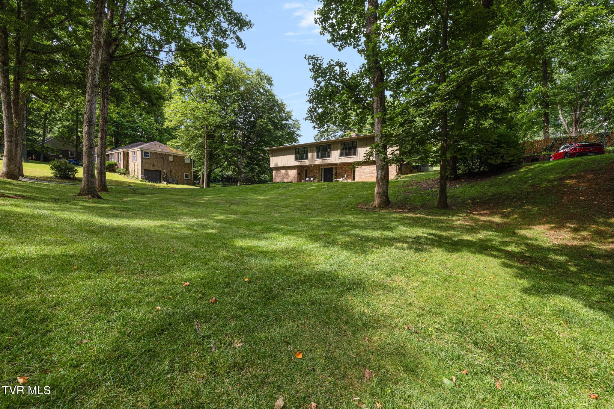 1006 Friar Tuck Road Johnson City, TN 37604 - Photo 52 of 57 Front yard