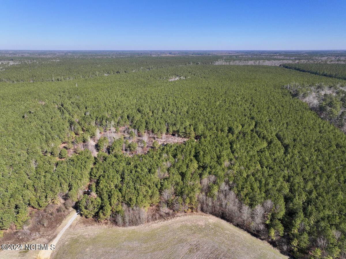 0 Rehoboth Church Road Jackson, NC 27845 - Photo 2 of 46 2