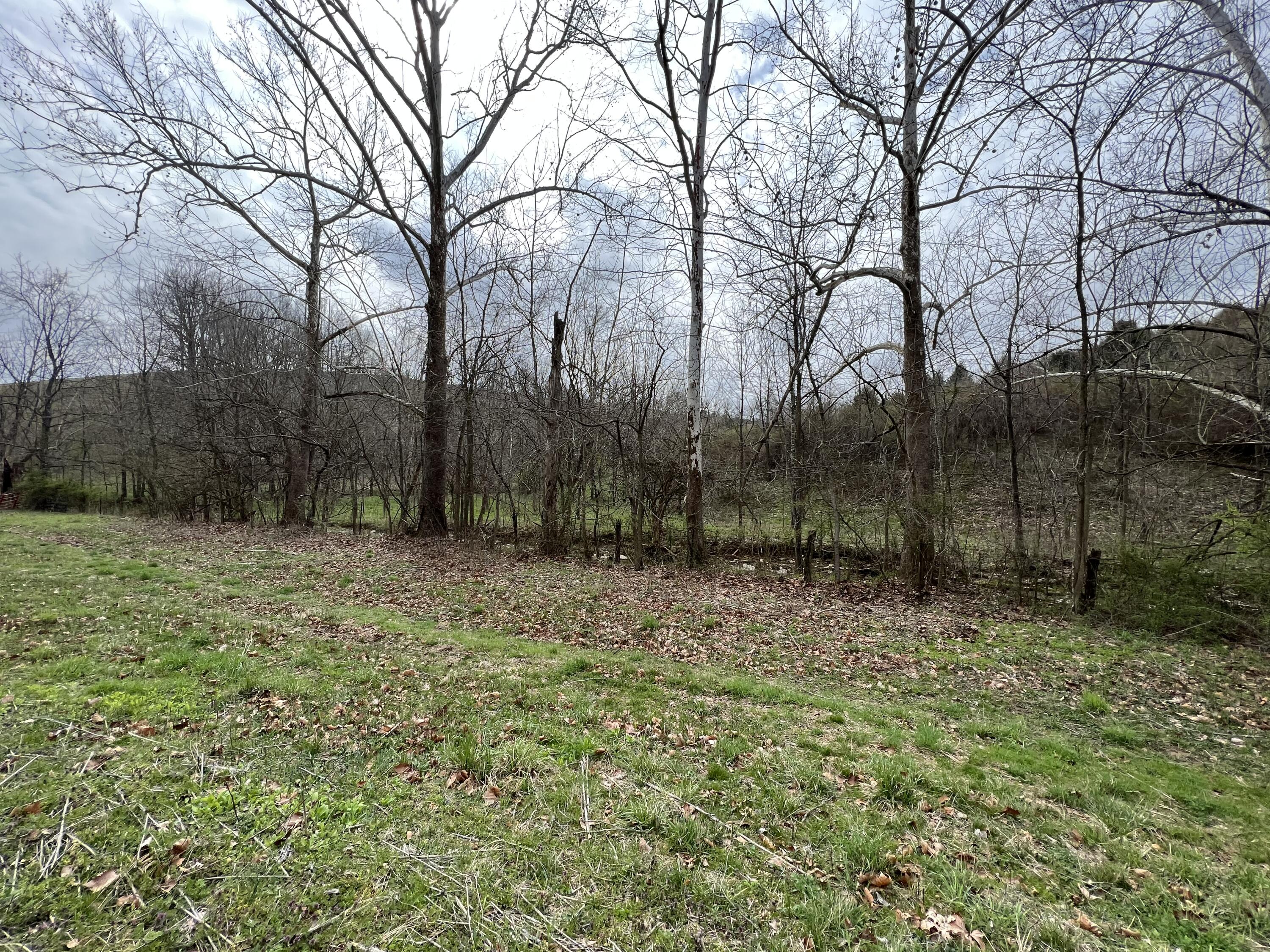 45 Jack Black Road Lancaster, KY 40444 - Photo 15 of 58 66CE6245-1FE5-49CB-A127-D75ECCEC530F