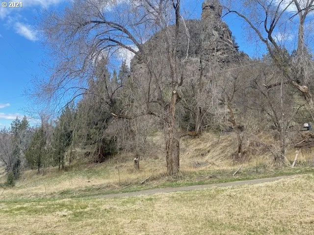 a view of a yard with large trees
